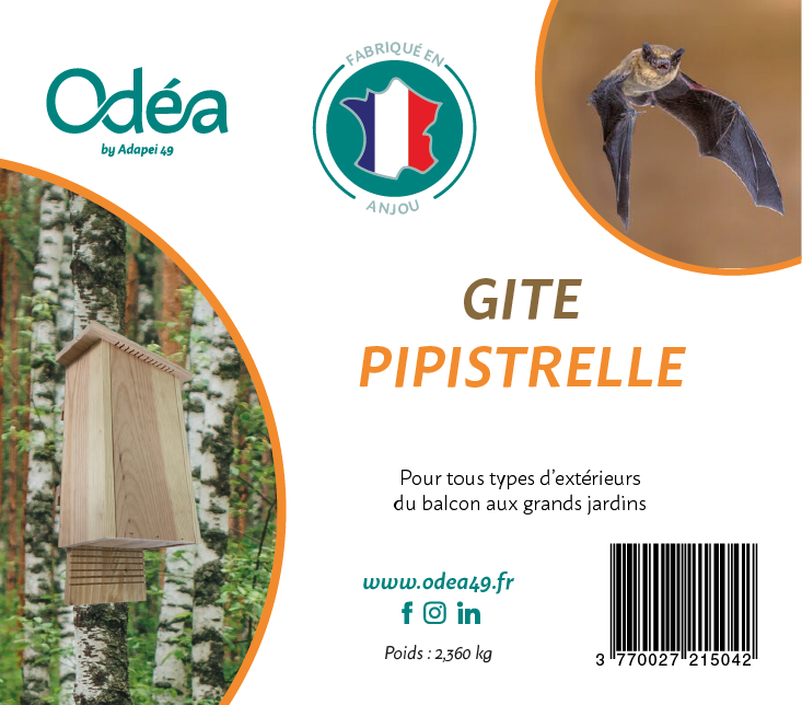 Odéa_EtiquetteAdhésive_Pipistrelle_bis