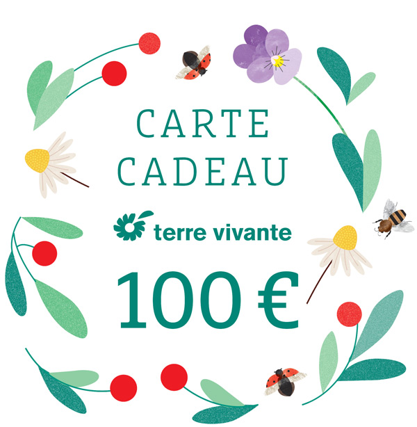 Visuel-produit-Carte-cadeau-100E