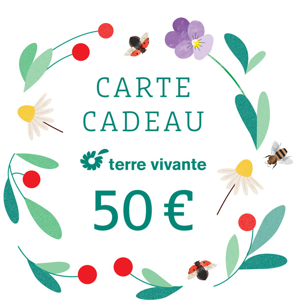 Visuel-produit-Carte-cadeau-50E