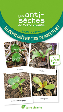 Anti-SechesTV_Reconnaitre les plantules.indd