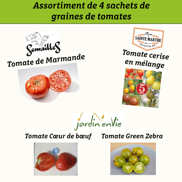 Lot 4 sachets de tomate3