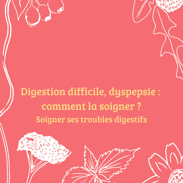 Digestion difficile, dyspepsie comment la soigner ? Terre Vivante