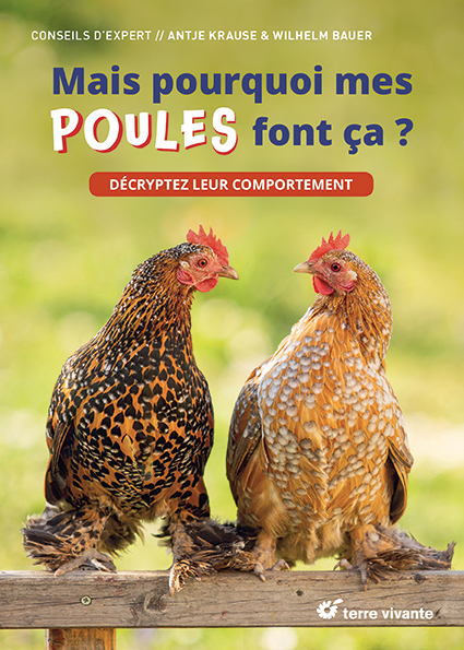 Pondoir poule - Jardin et Saisons