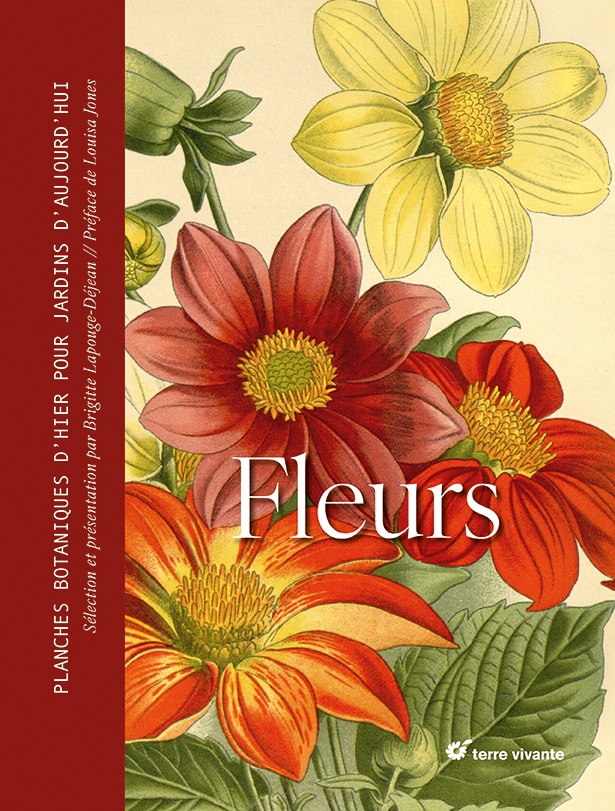 Fleurs : de la botanique à la biodiversité