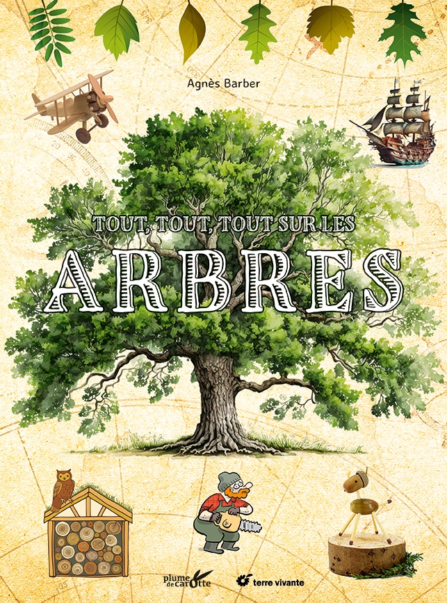 Tout tout tout sur les arbres Livre jeunesse biodiversité