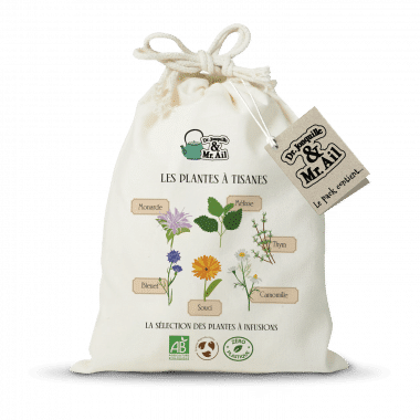 Kit de jardinage : Les plantes à tisanes – Dr. Jonquille et Mr. Ail