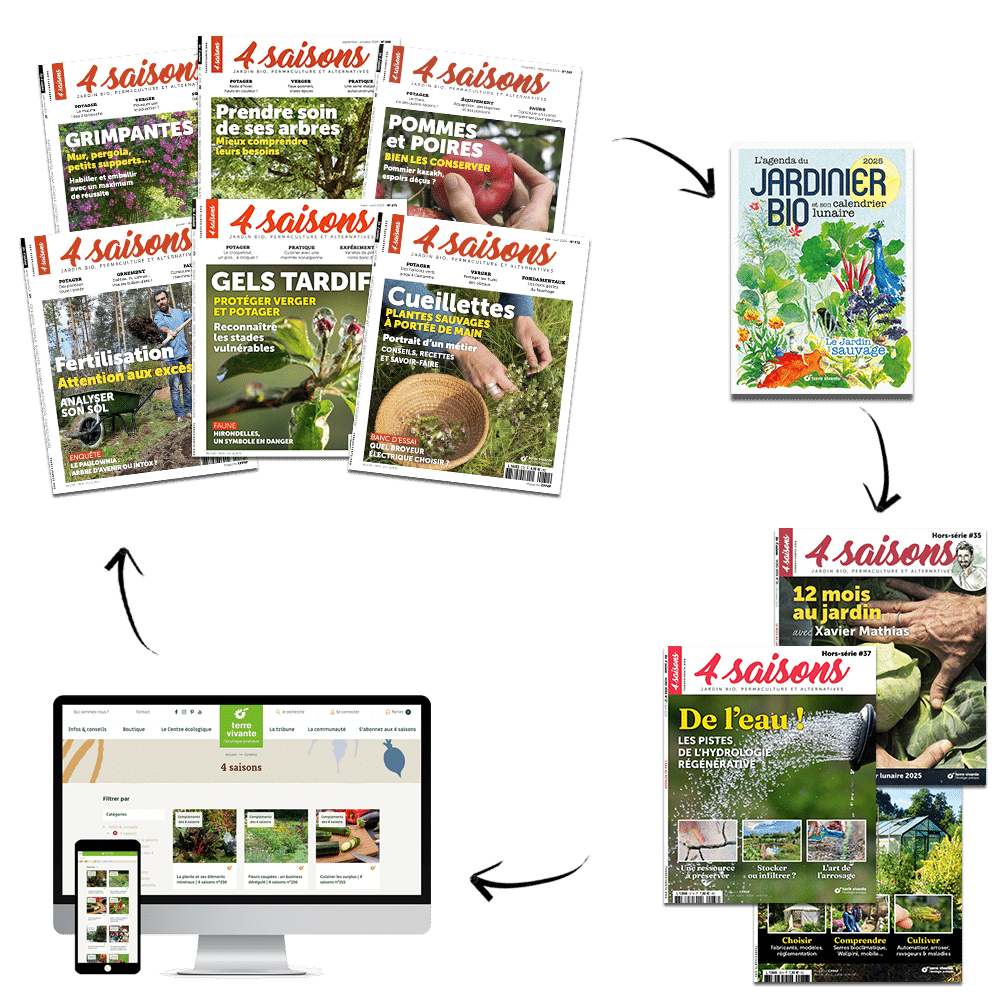 Offre passion fond transparent