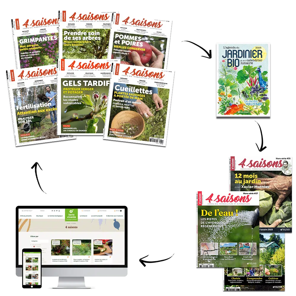 Offre passion fond transparent