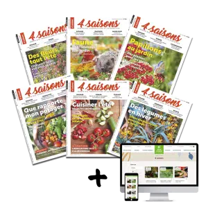 Offre d'abonnement Basique 4 Saisons
