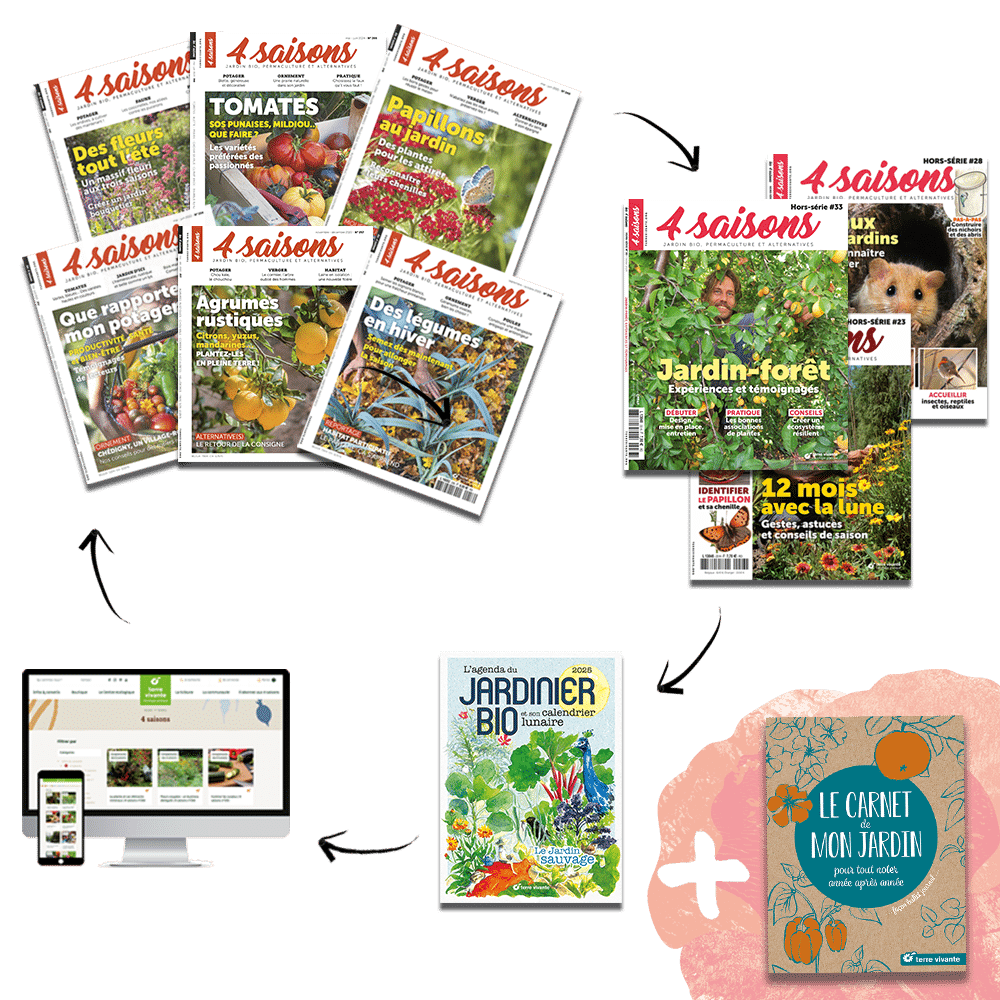 Passion + carnet fond transparent