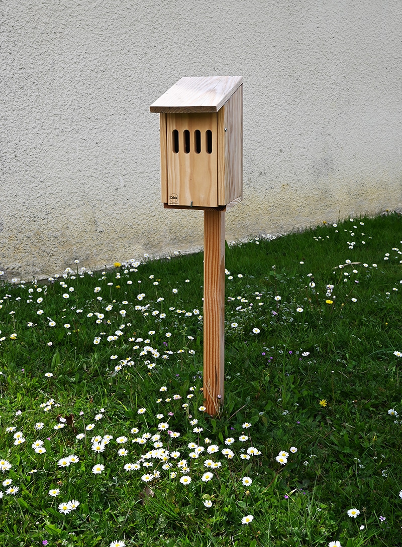Odea-Bois_Gite Papillons BD