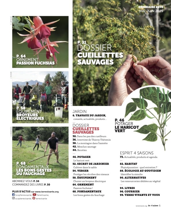 272_Sommaire BD