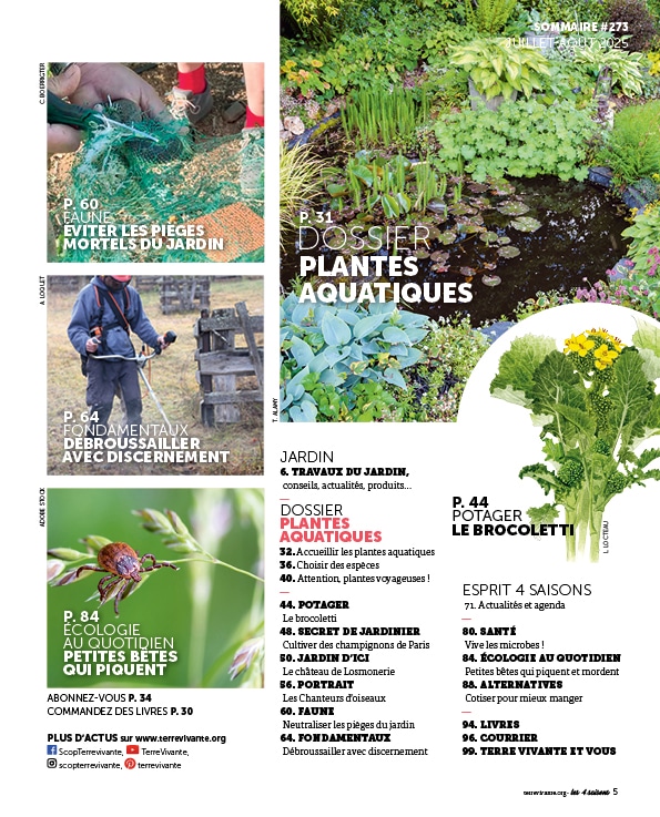 273_Sommaire BD