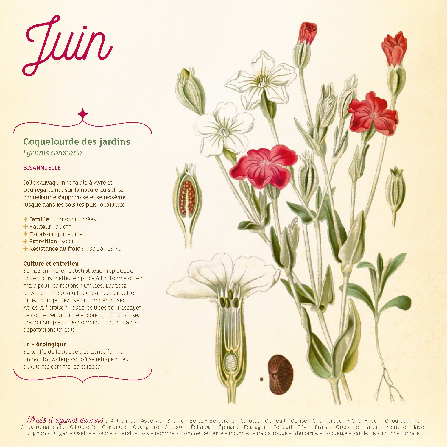 9782386760013_EXTRAIT_Page_3