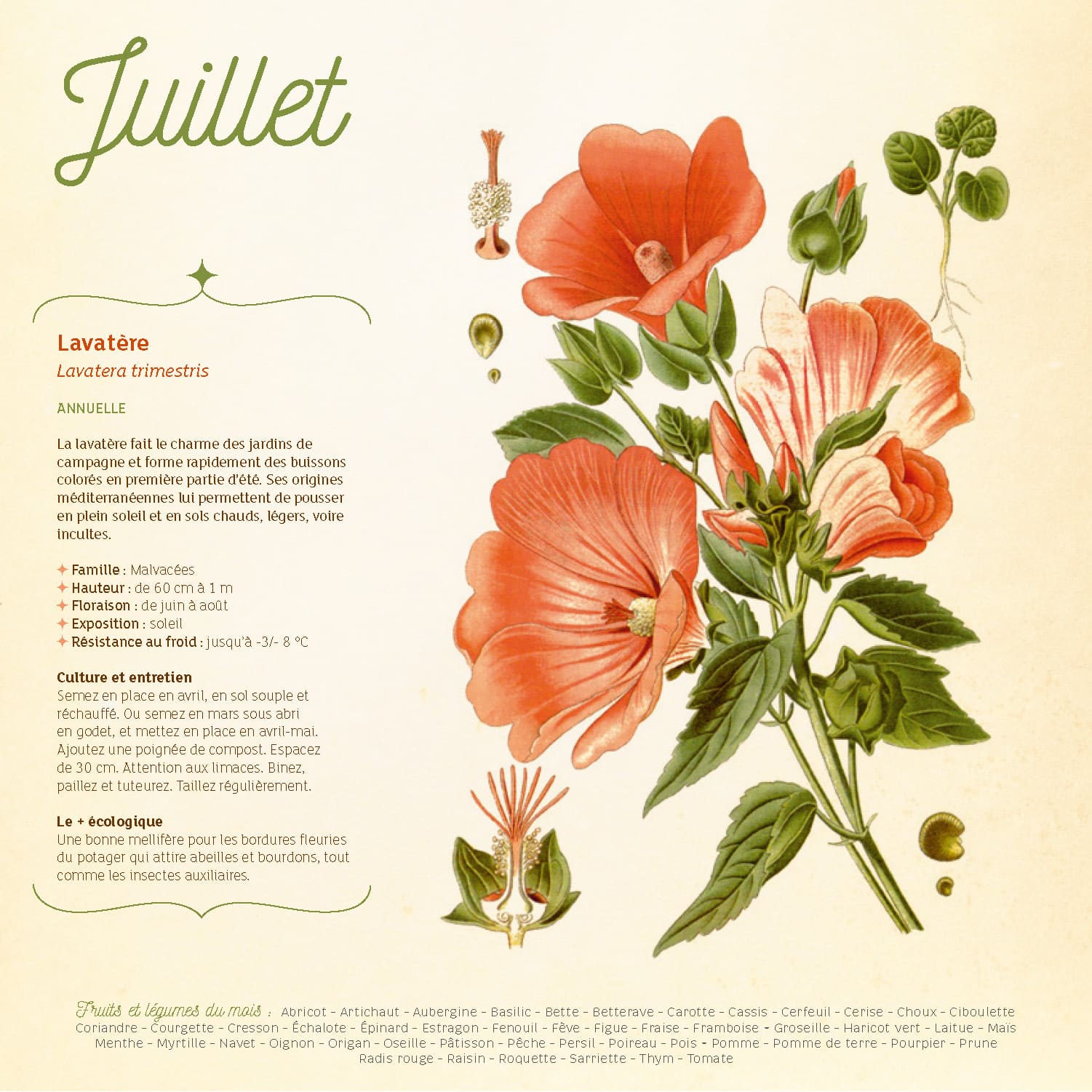 9782386760013_EXTRAIT_Page_5