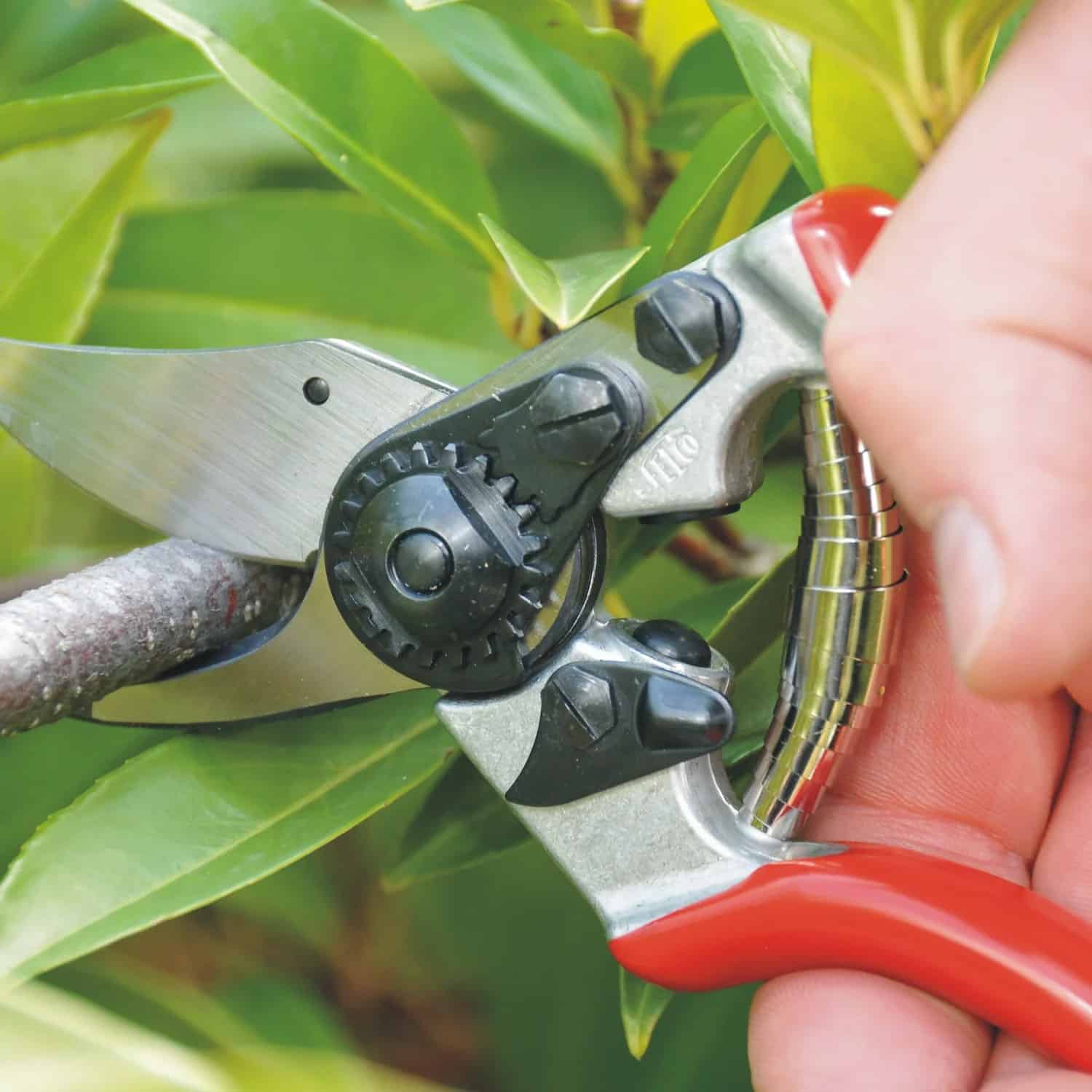 Square_in_use_PNG-FELCO-6-PARKS-AND-GARDENS-2011-DSC_4960-jpg_3f3cbdd5-f924-4866-b0bc-684272205368