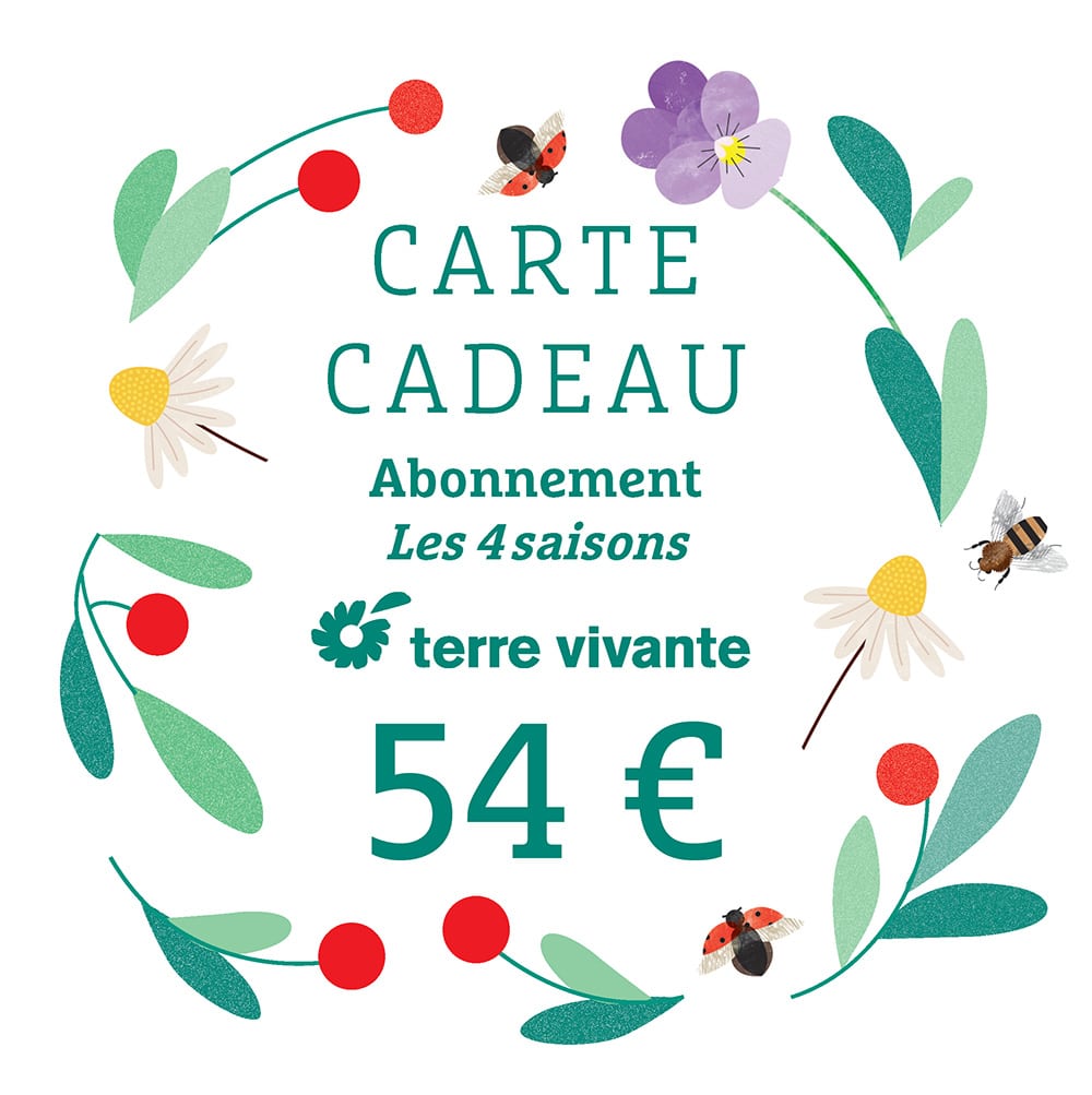 Carte-cadeau-abo-4S-Esprit-54E