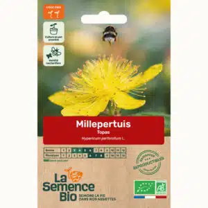 Graines Millepertuis Topas bio - La semence bio
