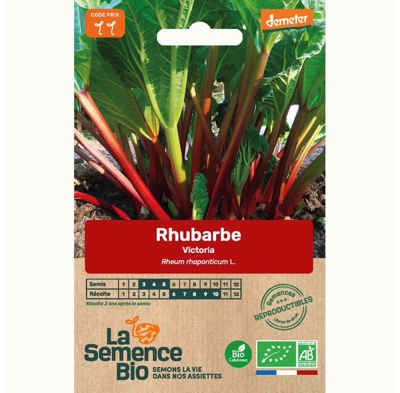 semences-bio-reproductibles-rhubarbe-victoria-bio (1)