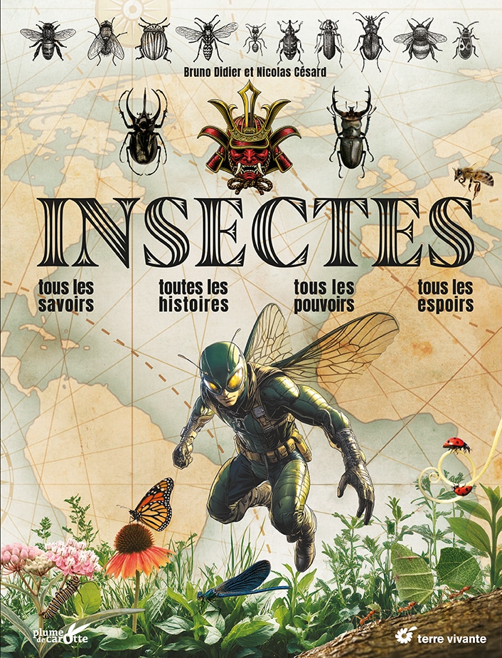 INSECTEScouv.indd