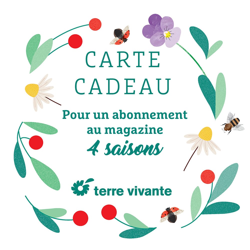 Carte-cadeau-abo-4S-multiple