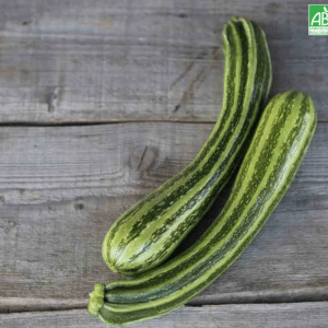 Graines Courgette verte non coureuse d'Italie bio - Ferme de Sainte Marthe