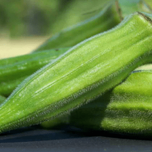Graines Okra Gombo Clemson Spineless bio - Ferme de Sainte Marthe