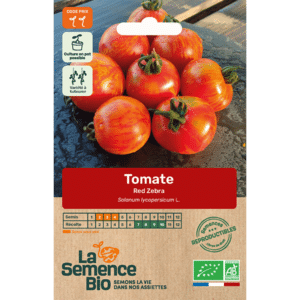 Graines Tomate Red Zebra bio - La semence bio