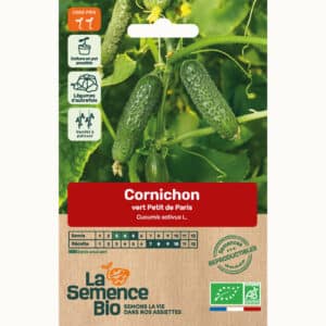 Graines Cornichon vert Petit de Paris bio - La semence bio