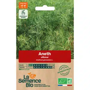 Graines Aneth Officinal bio - La semence bio
