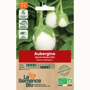 Graines Aubergine blanche Ronde à Œuf bio - La semence bio