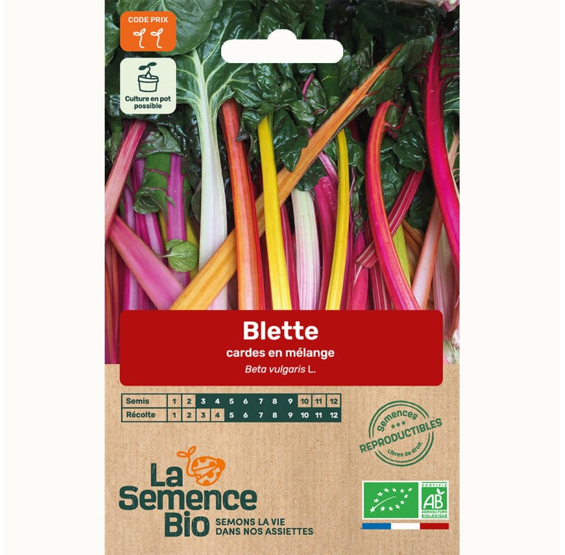 semences-bio-reproductibles-blette-cardes-en-melange2