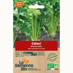 Graines Céleri-branche d'Elne bio - La semence bio