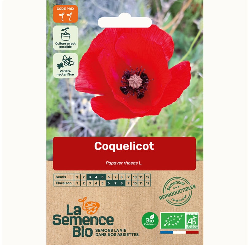 semences-bio-reproductibles-coquelicot-des-champs-bio2