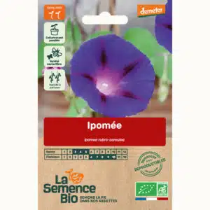 Graines Ipomée bio - La semence bio
