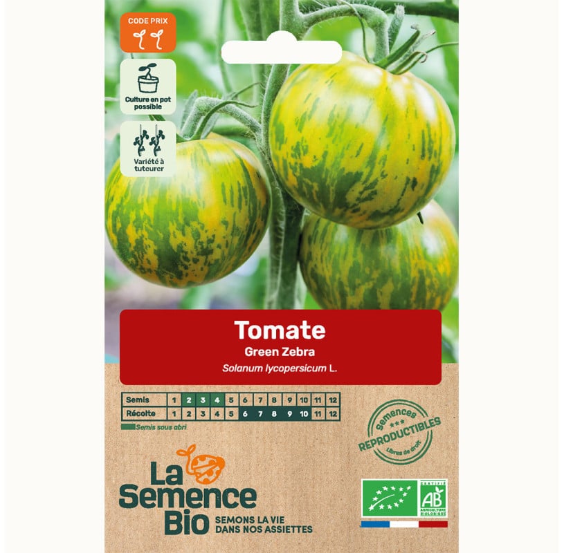 semences-bio-reproductibles-tomate-green-zebra-bio2