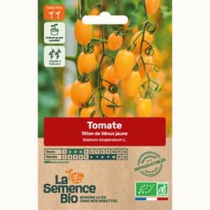 Graines Tomate cerise Téton de Vénus jaune bio - La semence bio