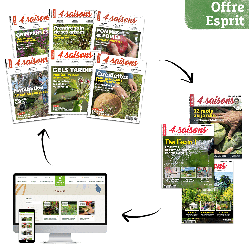 visuel abonnements offre Esprit