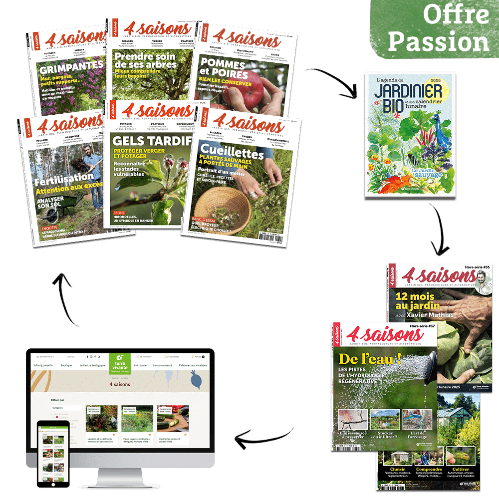 visuel abonnements offre Passion