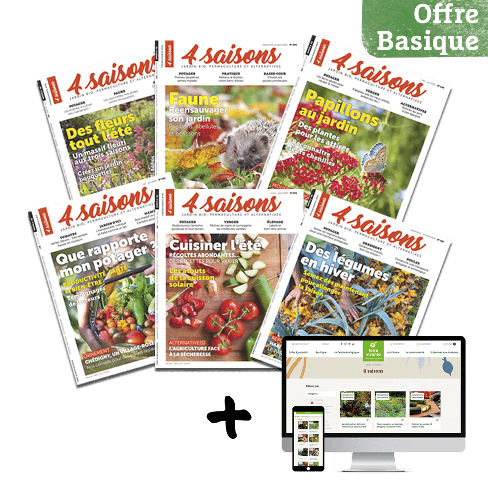 visuel abonnements offre basique