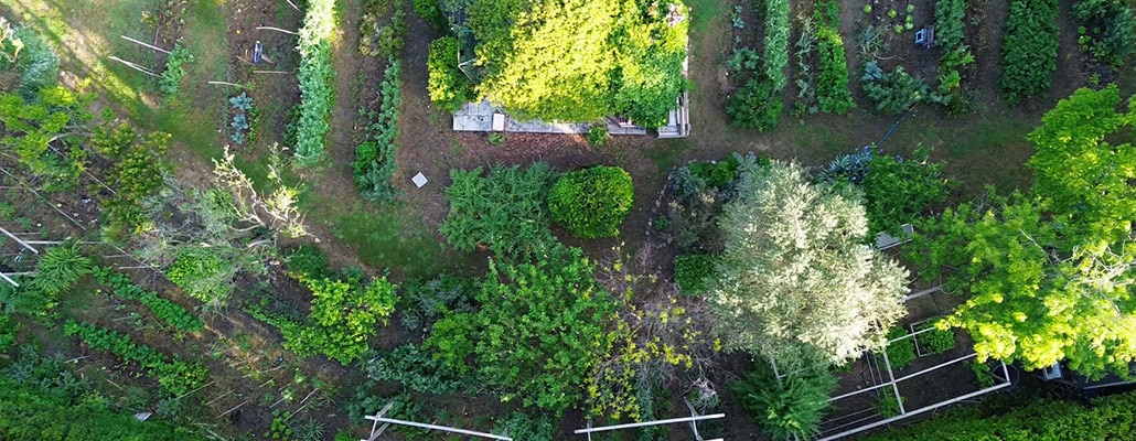 Avant d'envisager un potager de 200 m², soyez certain d'avoir le temps nécessaire.